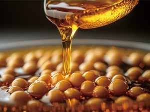 金龍魚(yú)客戶(hù)案例